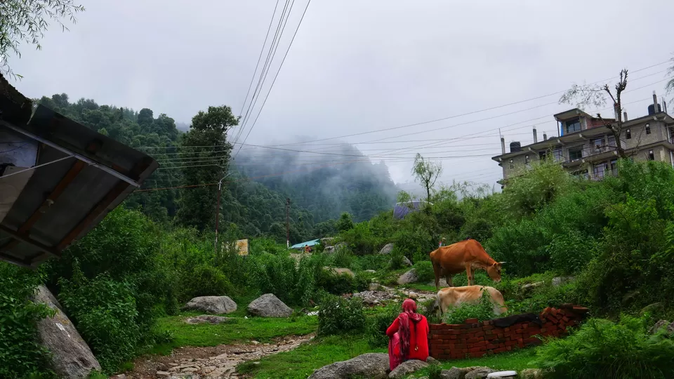 Photo of Living in Himachal Pradesh for 1.5 months! by Kavita Chavda