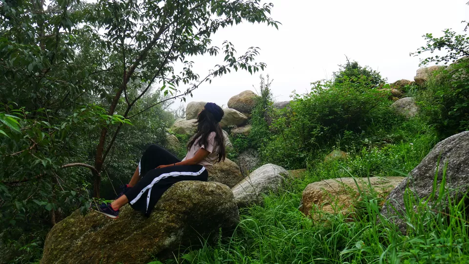 Photo of Living in Himachal Pradesh for 1.5 months! by Kavita Chavda