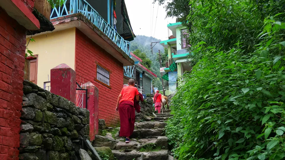 Photo of Living in Himachal Pradesh for 1.5 months! by Kavita Chavda