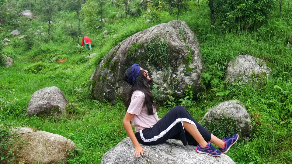 Photo of Living in Himachal Pradesh for 1.5 months! by Kavita Chavda