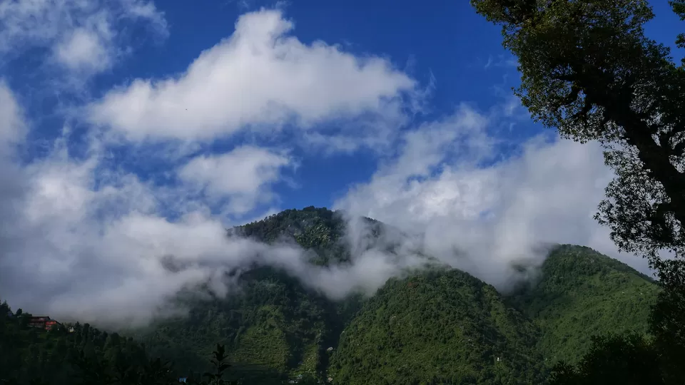 Photo of Dharamkot, Dharamshala, Himachal Pradesh, India by Kavita Chavda