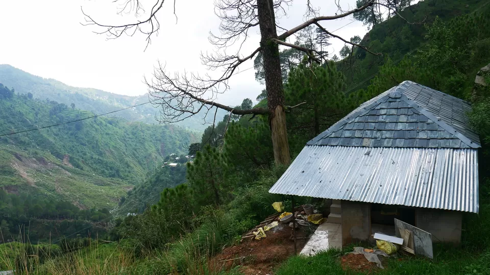Photo of Dharamkot, Dharamshala, Himachal Pradesh, India by Kavita Chavda