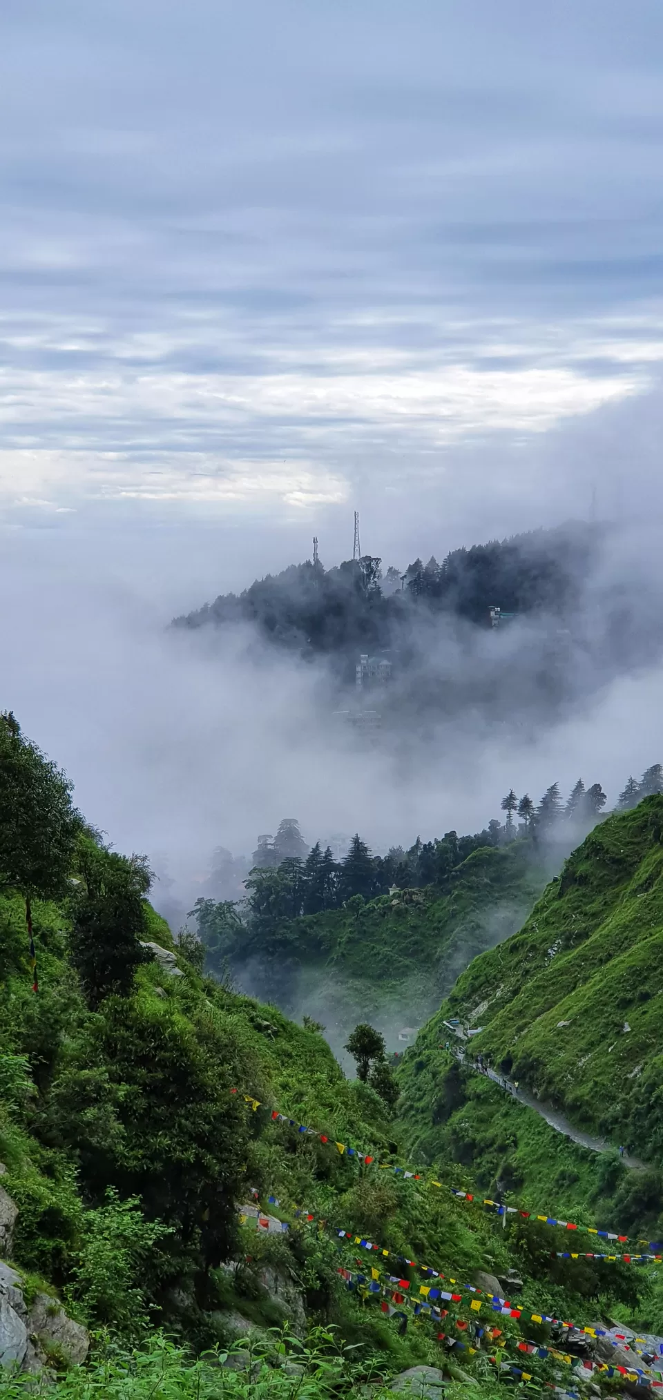 Photo of Living in Himachal Pradesh for 1.5 months! by Kavita Chavda