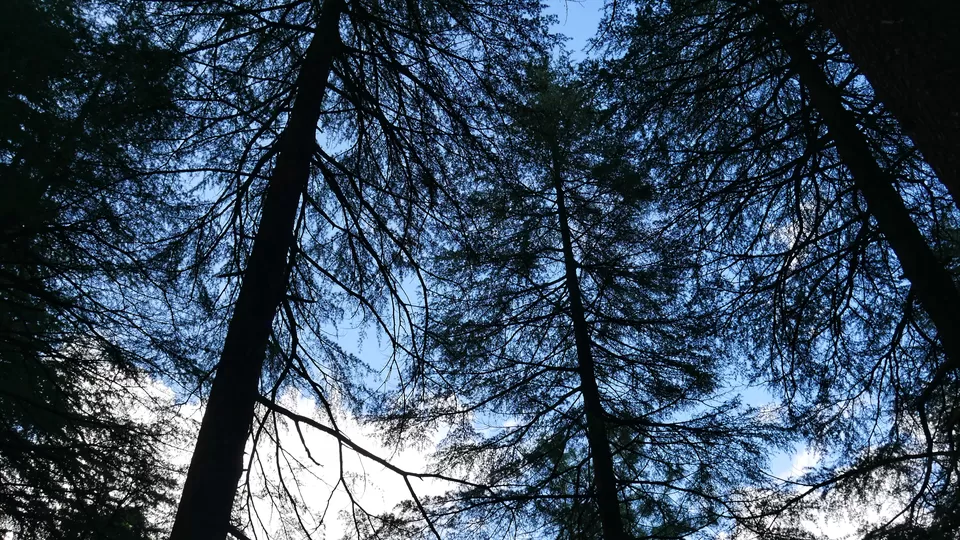 Photo of Dharamkot, Dharamshala, Himachal Pradesh, India by Kavita Chavda