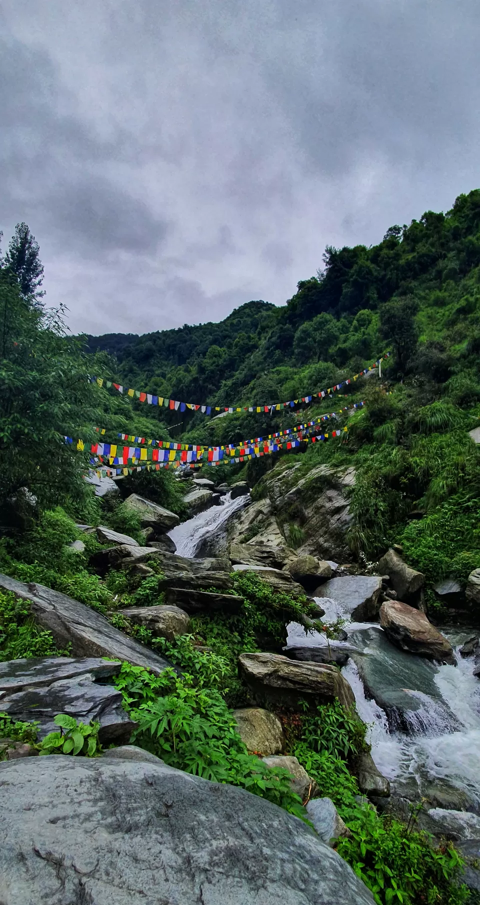 Photo of Living in Himachal Pradesh for 1.5 months! by Kavita Chavda