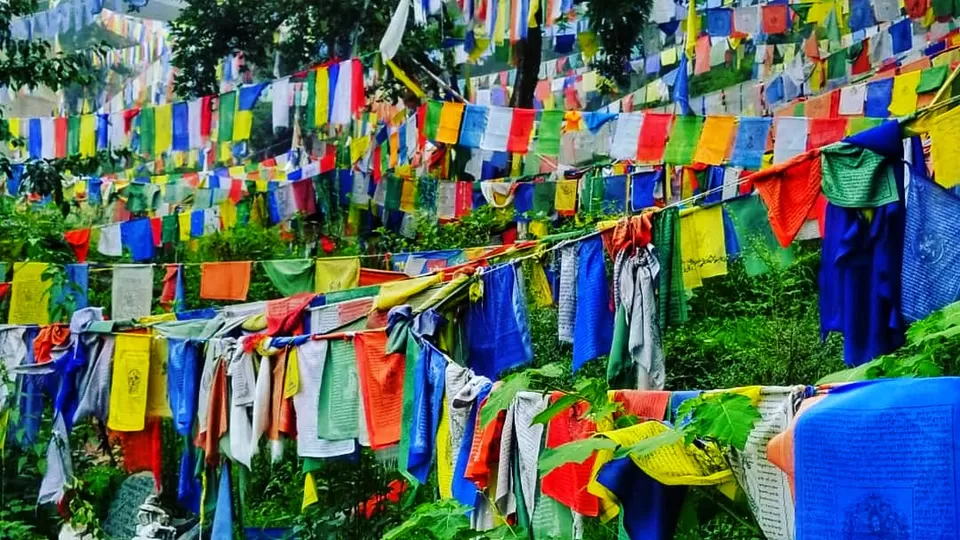 Photo of Living in Himachal Pradesh for 1.5 months! by Kavita Chavda