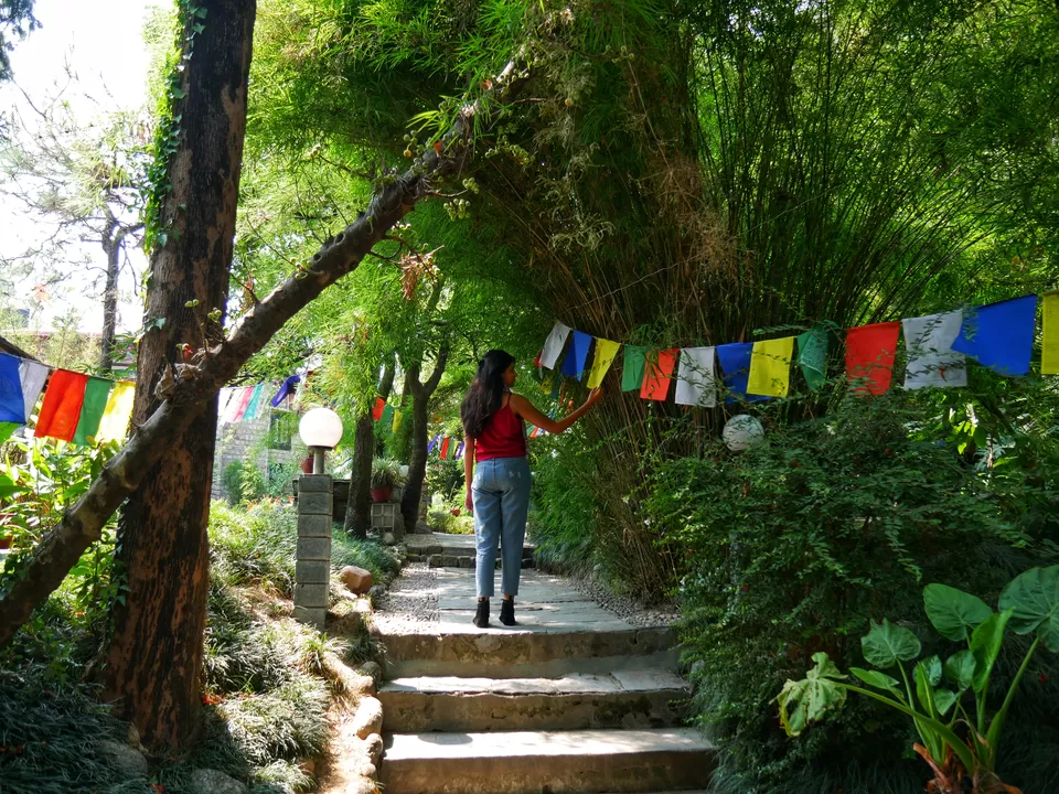 Photo of Living in Himachal Pradesh for 1.5 months! by Kavita Chavda