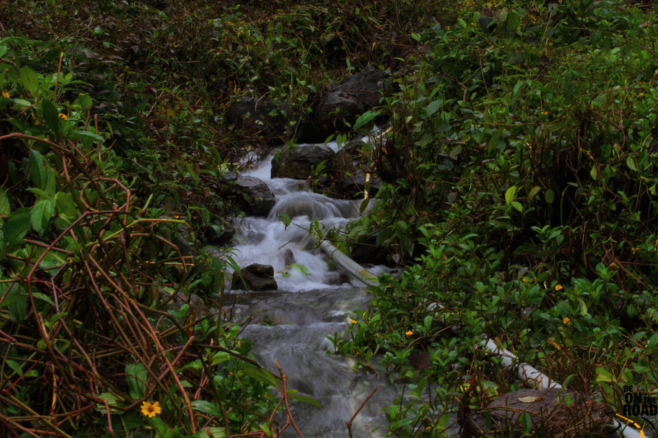 Photo of BANGALORE A REMARKABLE WILDERNESS WEST 7/7 by Jeetendra Kush