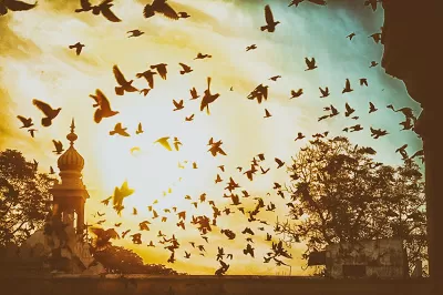 Photo of Mecca Masjid, Charminar Road, Charminar, Ghansi Bazaar, Hyderabad, Telangana, India by Deepali Sharma Agarwal