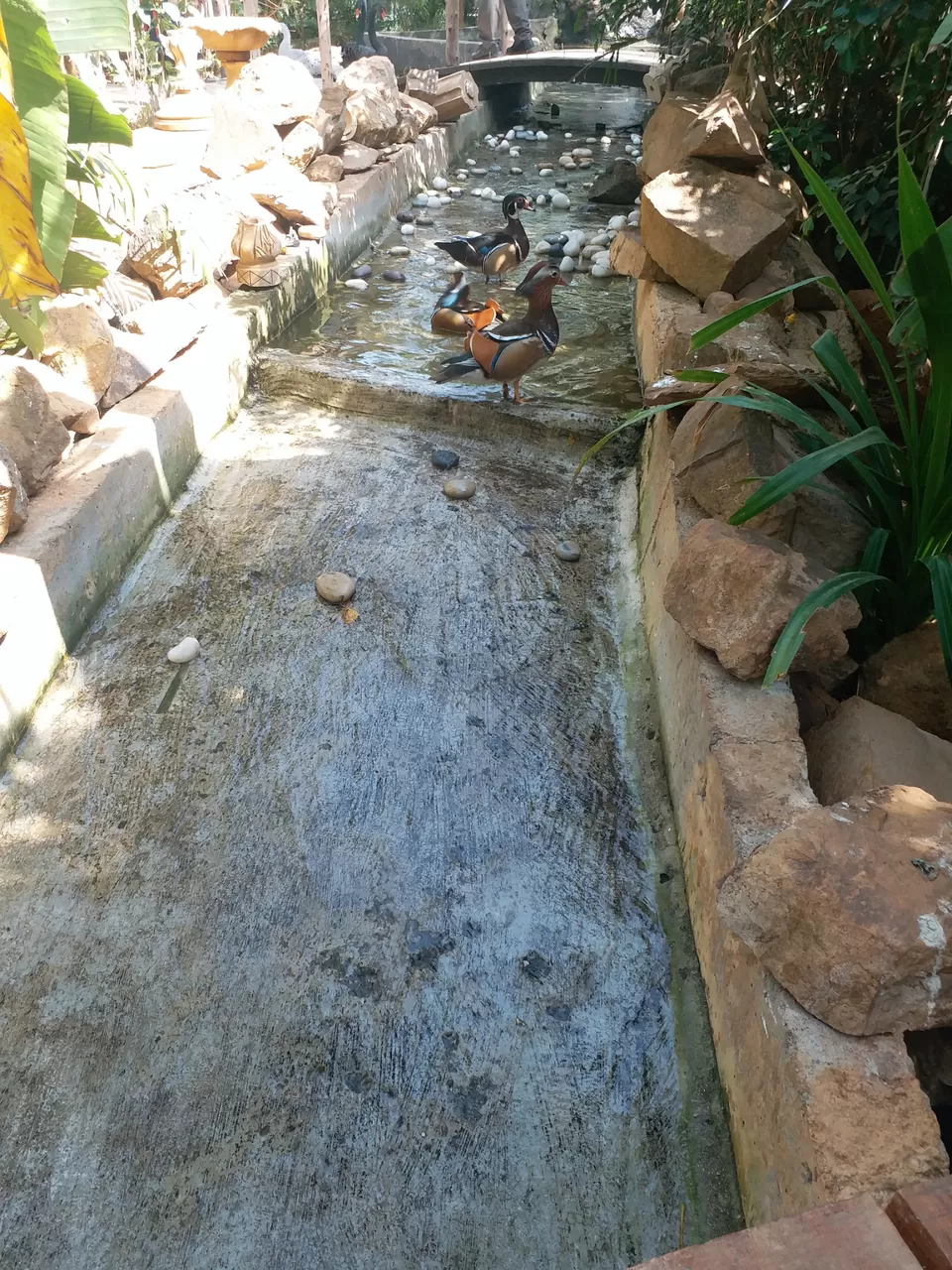 Photo of Experience the Pokemon world like bird aviary in Mumbai by Fahad Khan