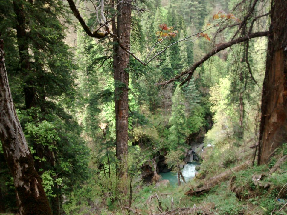 Photo of Khir Ganga, Himachal Pradesh, India by Aashish M Pawgi