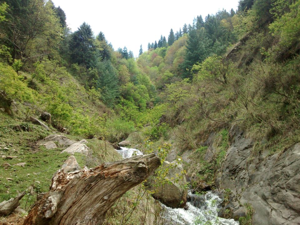 Photo of Khir Ganga, Himachal Pradesh, India by Aashish M Pawgi