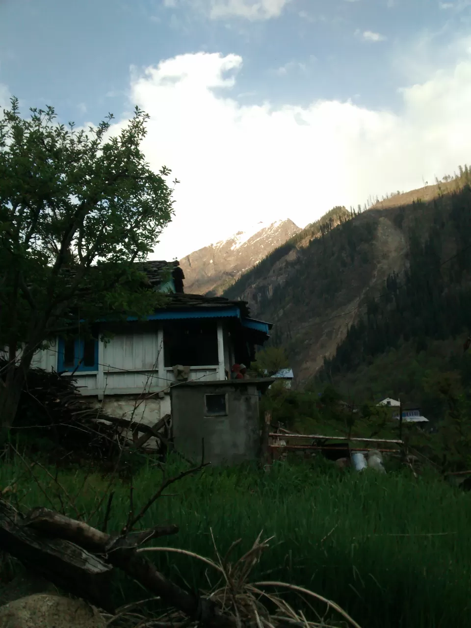 Photo of Tosh, Himachal Pradesh, India by Aashish M Pawgi