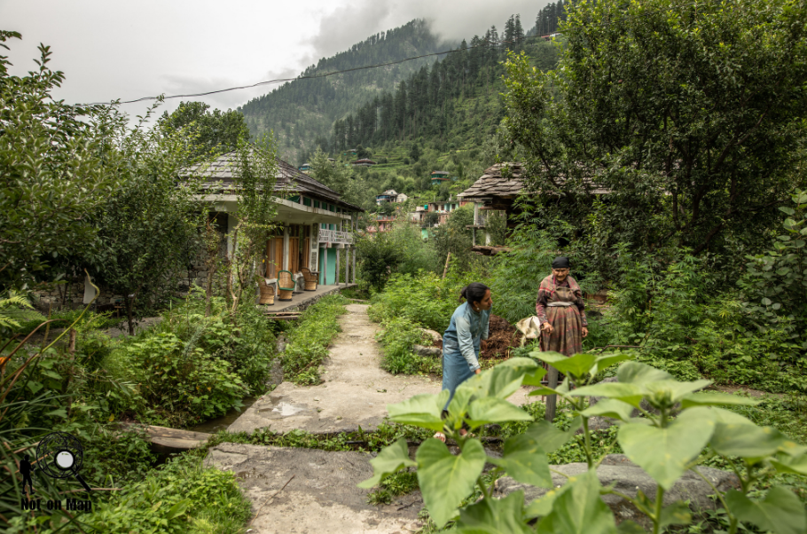 Photo of Exploring the hidden paradise of Jibhi with NotOnMap 3/7 by Aashish M Pawgi