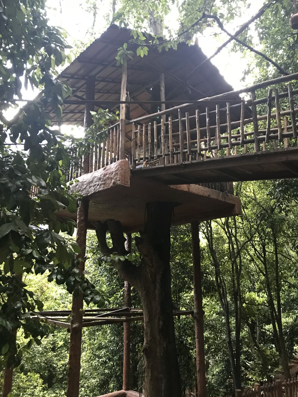 Photo of Hidden In The Nilgiris is Your Next Luxury Getaway Resort by Vandita Jadeja