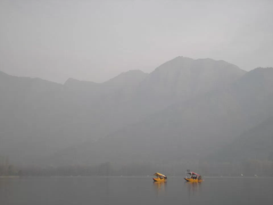 Photo of Dal Lake, Srinagar by MissHotelReviewer