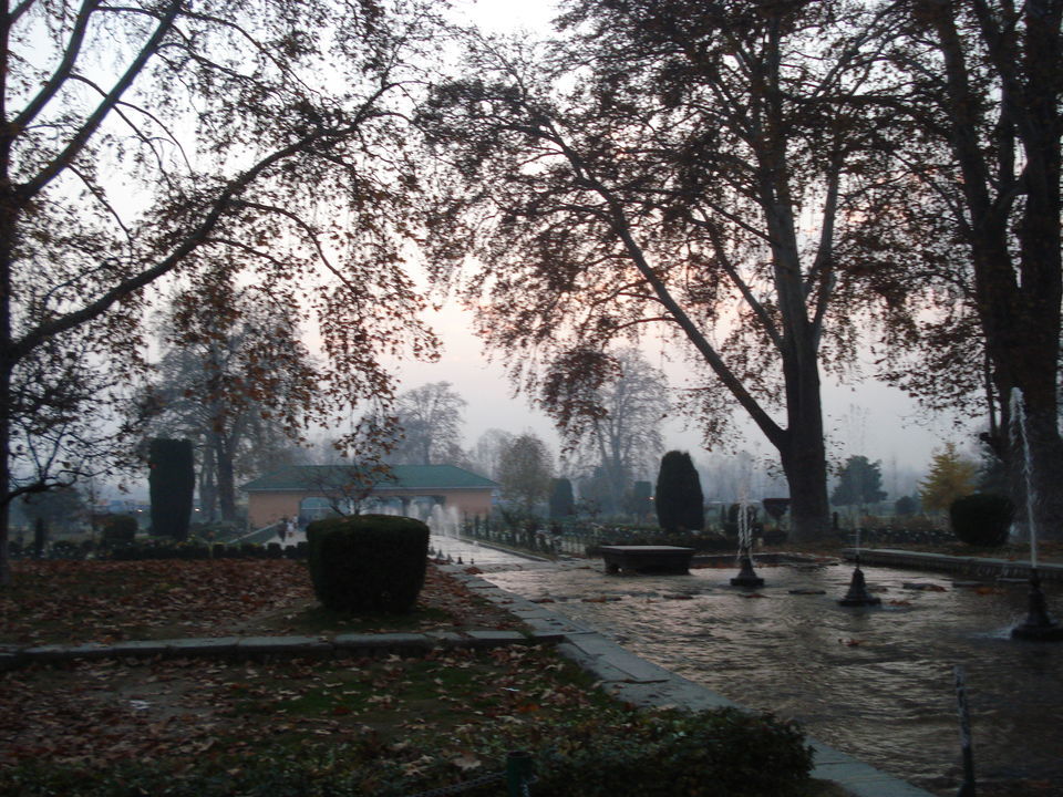 Photo of Dal Lake, Srinagar by MissHotelReviewer