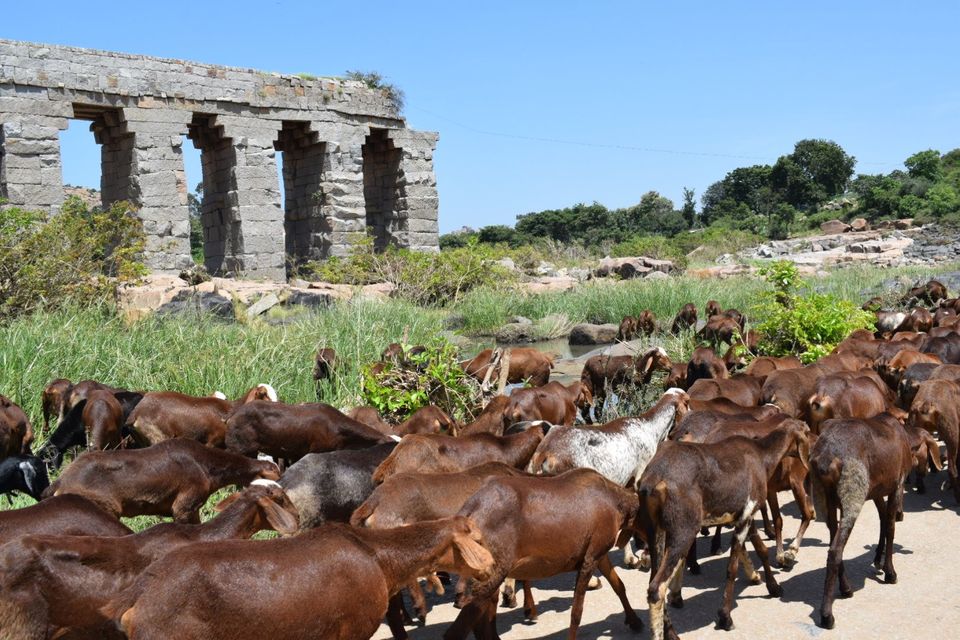 Photo of Lesser Known Place in Hampi | The Hippie Island by Simi