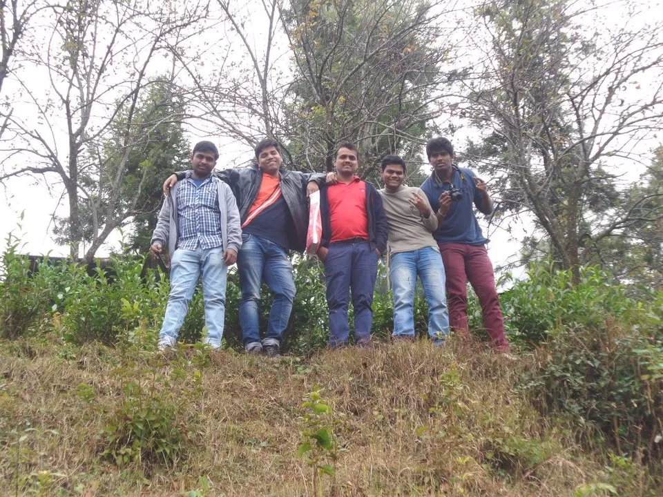 Photo of Tea Garden, KAusani by Mahesh Gaikwad