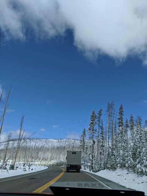 Photo of Yellowstone National Park, United States by Isha
