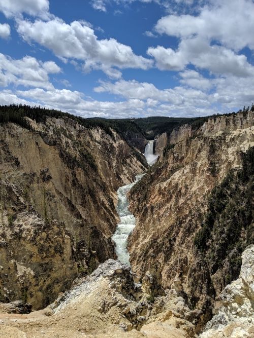 Photo of Yellowstone National Park - Sightseeing by Isha