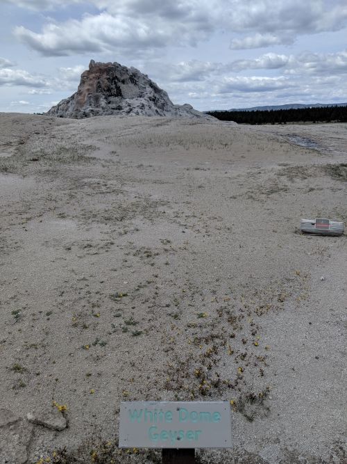 Photo of Yellowstone National Park - Sightseeing by Isha