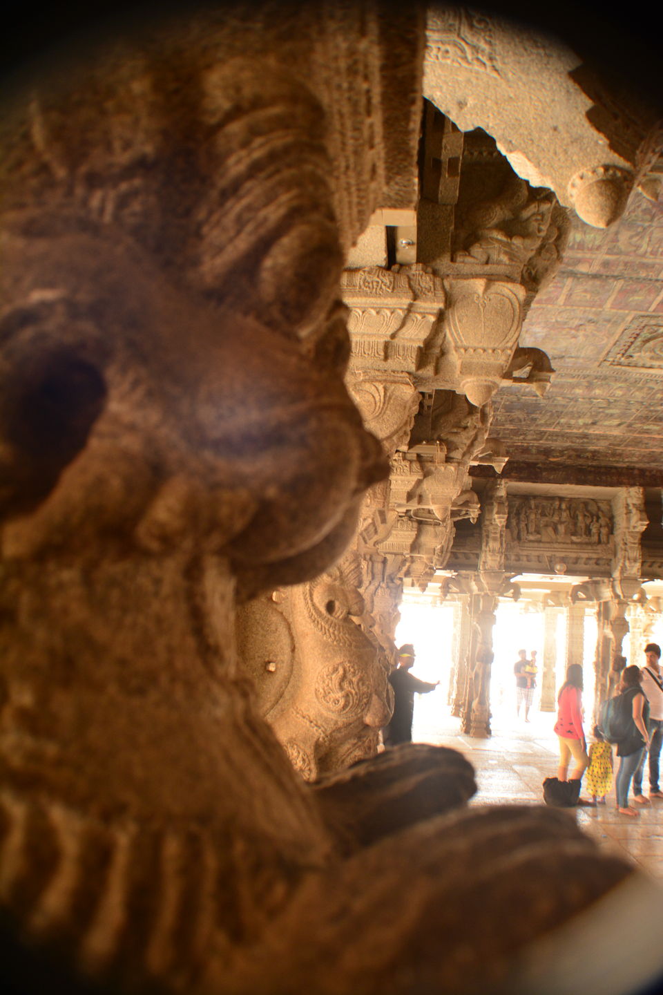 Photo of The Hippie Side Of Hampi..! by visual bliss