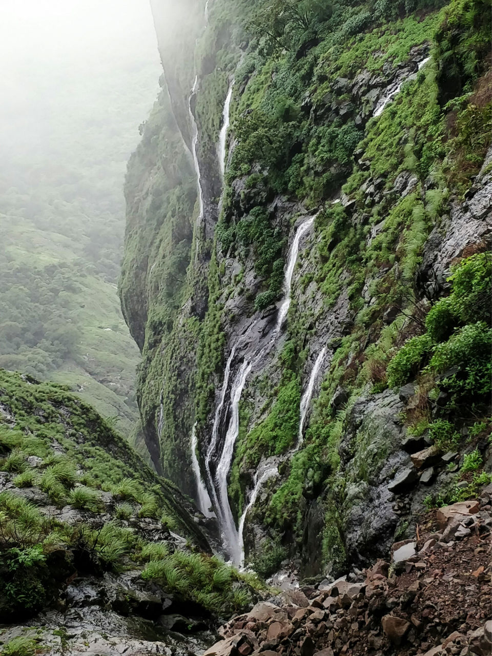 Photo of Andharban Trek - Get lost in the dark forest | Nature at its best 3/6 by Komal_K