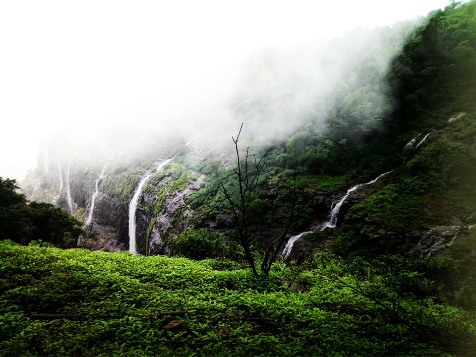 Photo of Andharban Trek - Get lost in the dark forest | Nature at its best 4/6 by Komal_K