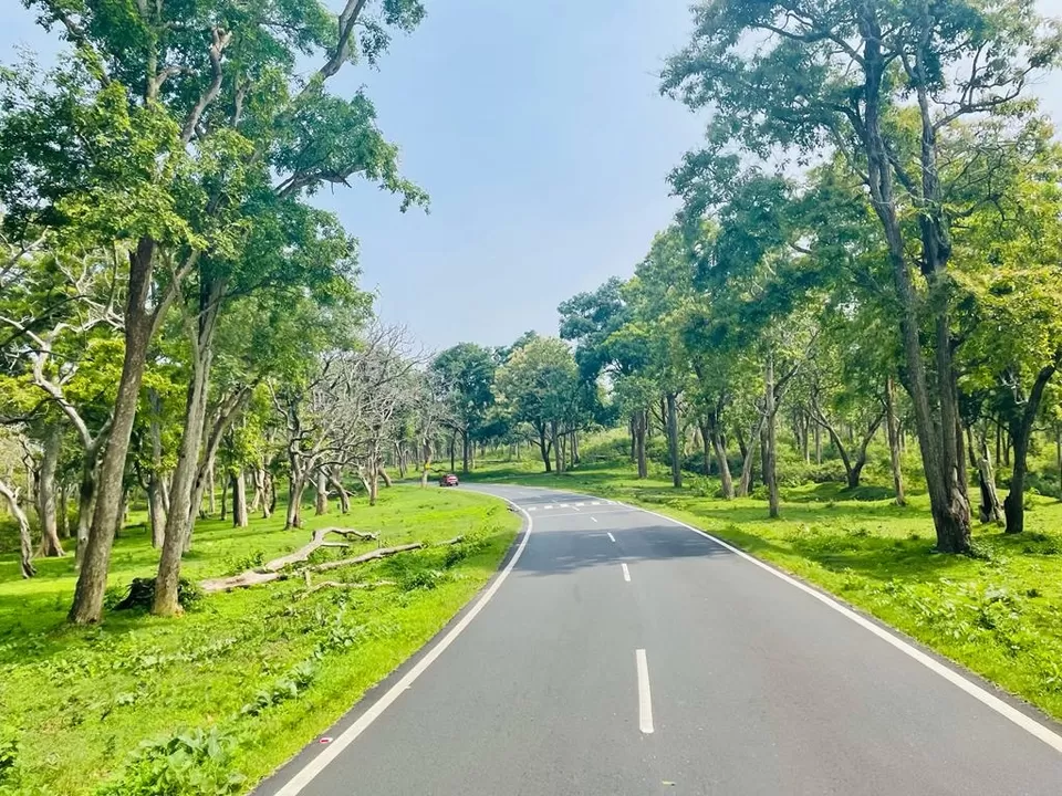 Photo of Ooty 72 hours Trip by Teja