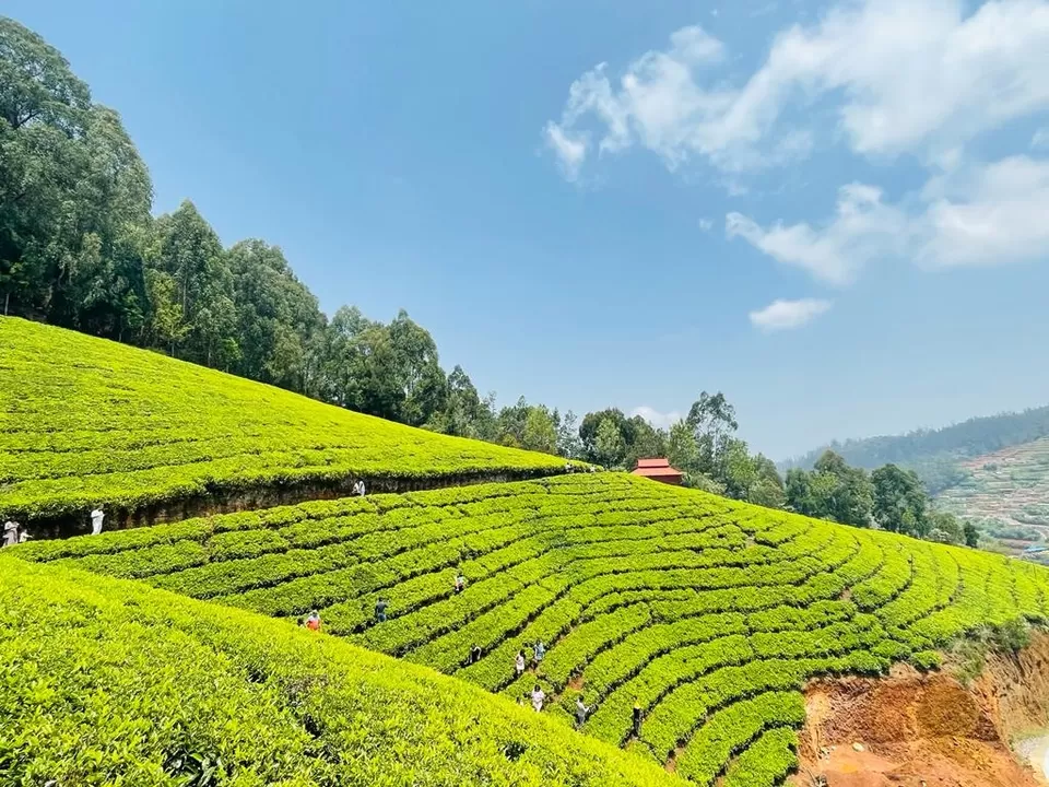 Photo of Ooty 72 hours Trip by Teja