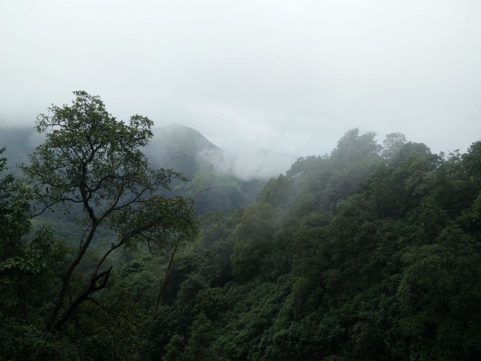 Photo of Charmadi Ghat, Attigere, Karnataka, India by RUTHaka350