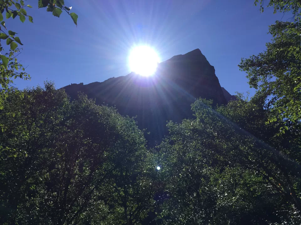 Photo of Valley of Flowers National Park, Uttarakhand, India by Urban_Monk