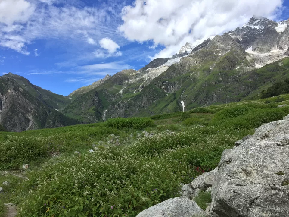 Photo of Valley of Flowers National Park, Uttarakhand, India by Urban_Monk