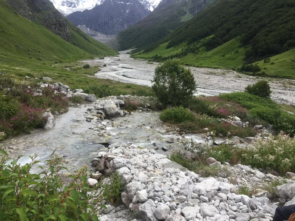 Photo of Valley of Flowers National Park, Uttarakhand, India by Urban_Monk