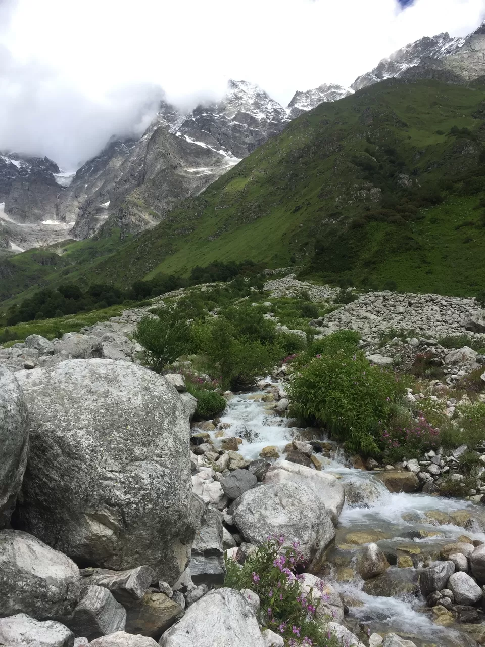Photo of Valley of Flowers National Park, Uttarakhand, India by Urban_Monk