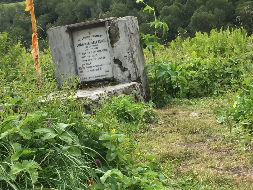Photo of Valley of Flowers National Park, Uttarakhand, India by Urban_Monk