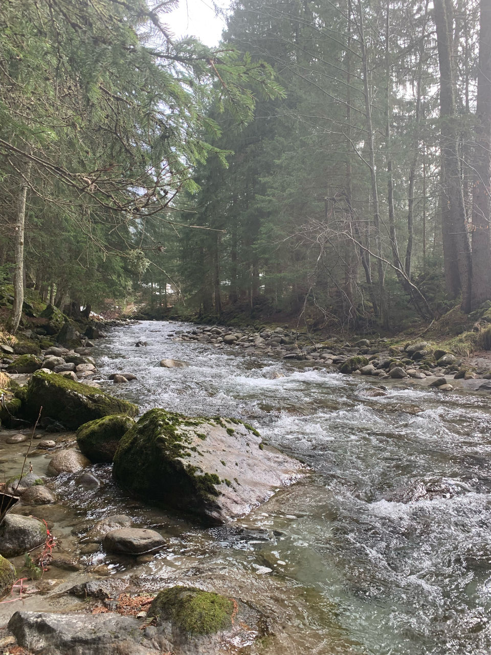 Photo of A week in the french alps by Ejaz Hossain