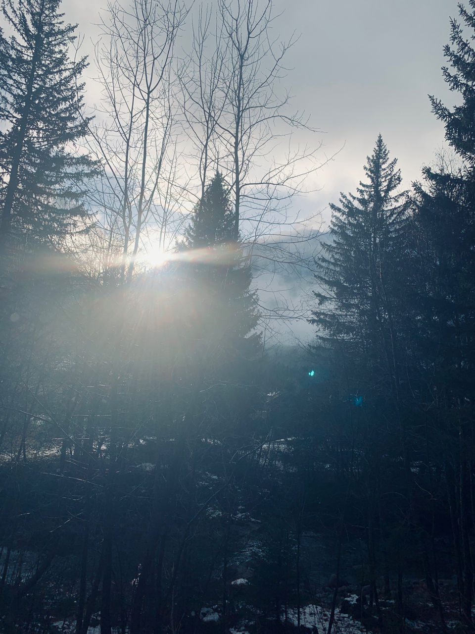 Photo of A week in the french alps by Ejaz Hossain