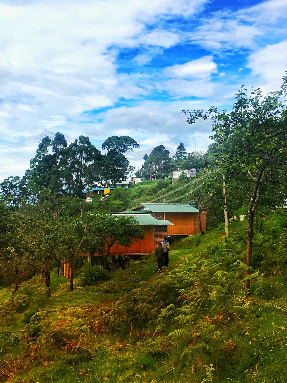 Photo of The Purrfect Trip: On the road with the traveling kitten by Himani Sahni