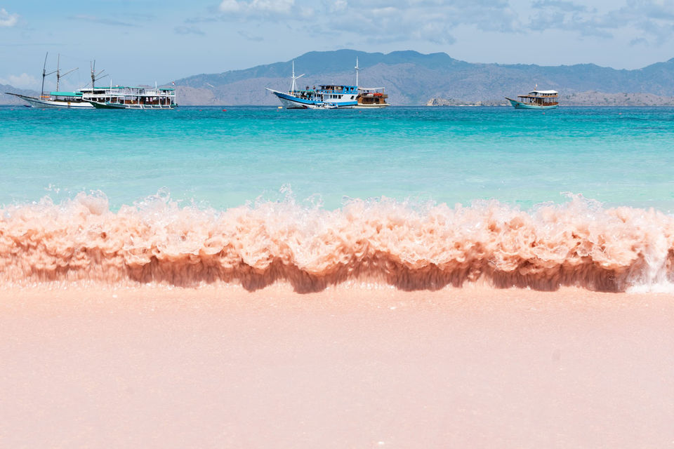 Photo of Komodo National Park, East Nusa Tenggara, Indonesia by Haritri Goswami