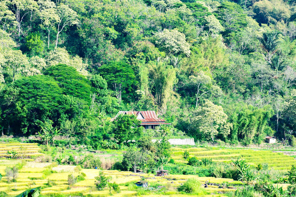 Photo of Ende, East Nusa Tenggara, Indonesia by Haritri Goswami