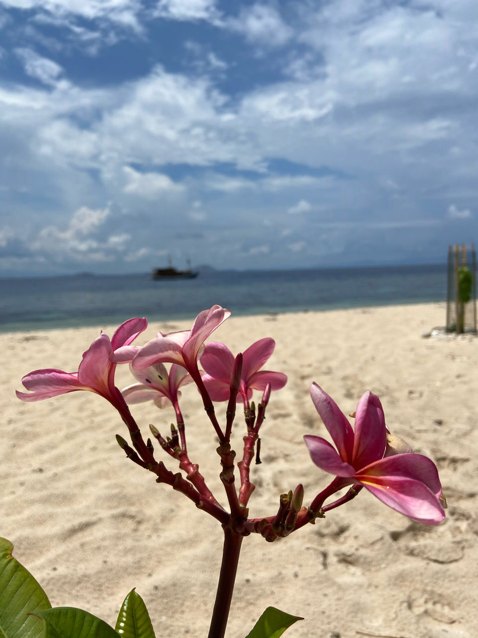 Photo of Le Pirate Island, Labuan Bajo, West Manggarai Regency, East Nusa Tenggara, Indonesia by Haritri Goswami