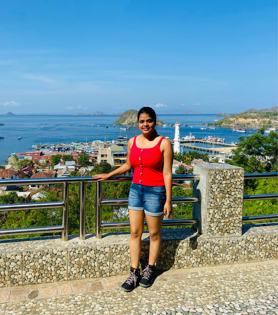Photo of Dragons, Beaches and Volcano: Beautiful Flores , indonesia by Haritri Goswami