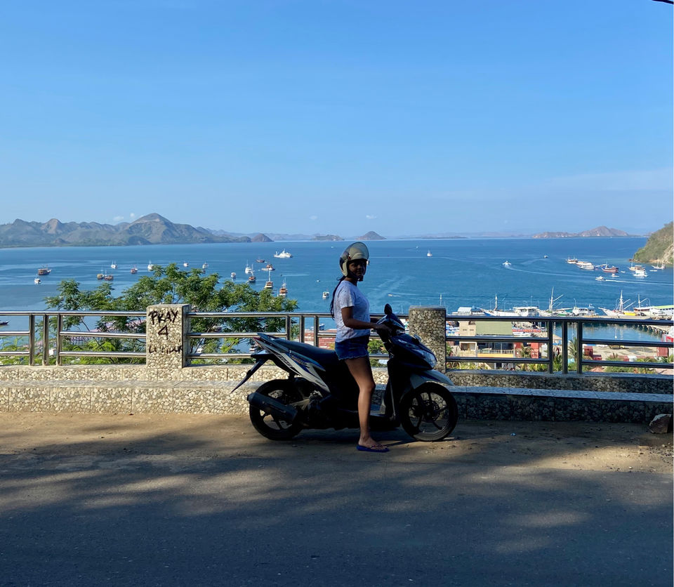 Photo of Dragons, Beaches and Volcano: Beautiful Flores , indonesia by Haritri Goswami