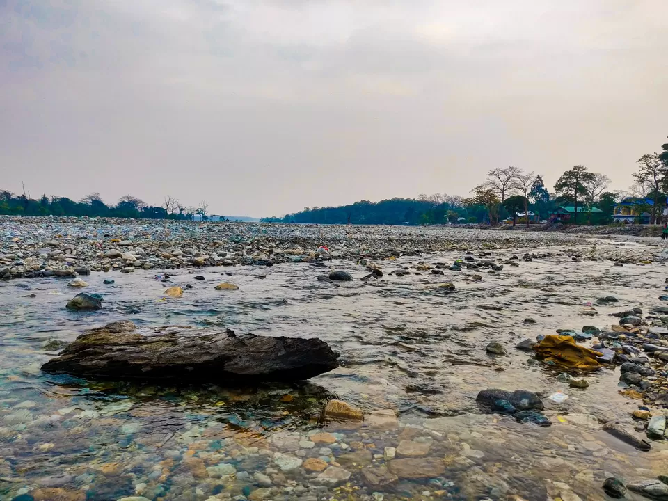 Photo of Jayanti River Bridge, Buxa Forest, West Bengal, India by Suman Mukherjee