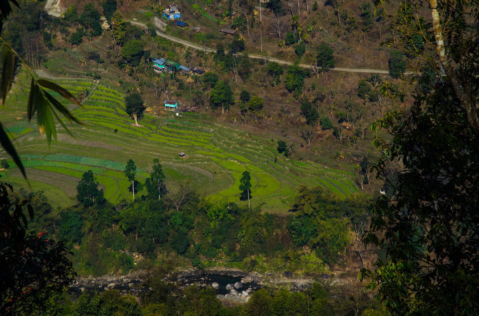 Photo of Kolkata to Pelling, Pedong, Rongli, Gorumara forest, Jayanti, Gangtok. by Suman Mukherjee