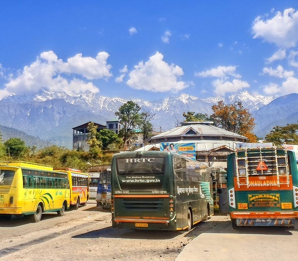 Photo of Palampur, Himachal Pradesh, India by nidhi patnaik