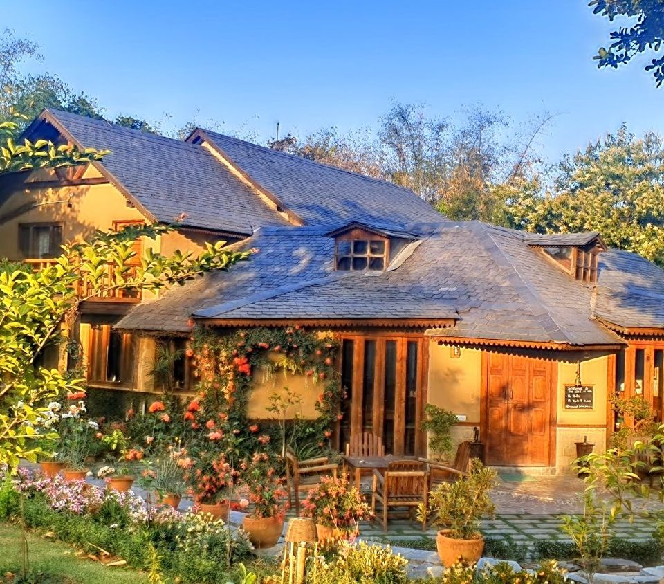 Photo of Palampur: An everlasting affair with the hills by nidhi patnaik