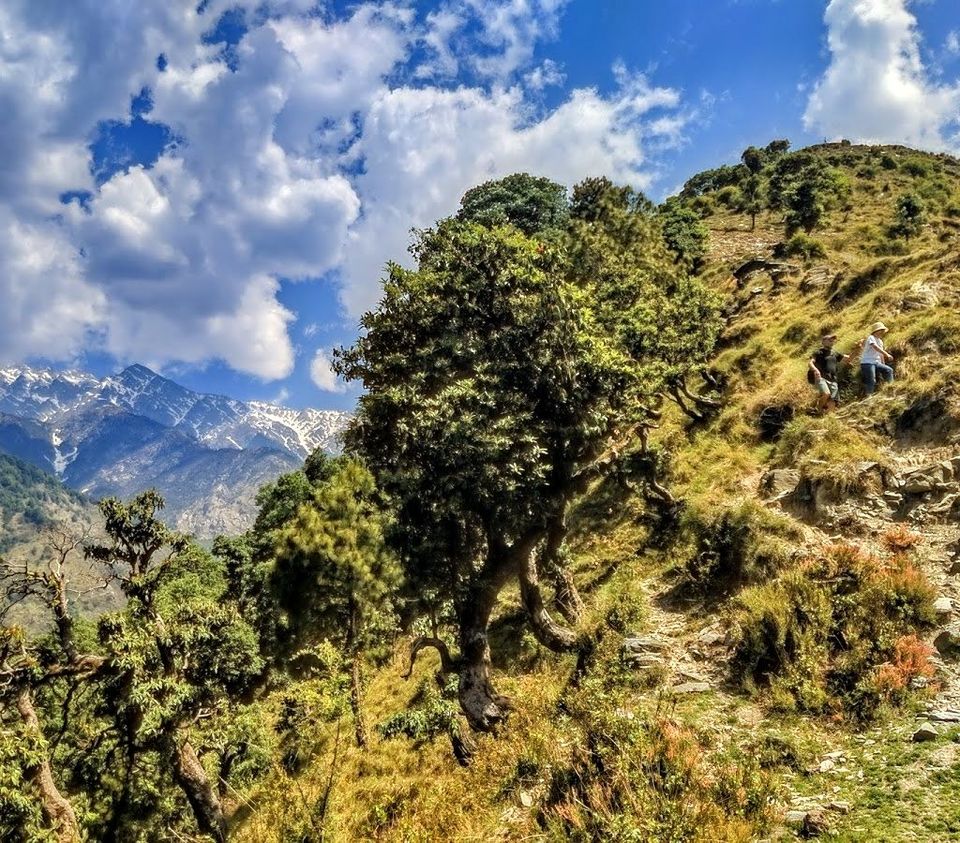 Photo of Exsul Travel - Hiking, Paragliding, Jeep Safaris,Luxury Tours, Aima, Palampur, Himachal Pradesh, India by nidhi patnaik